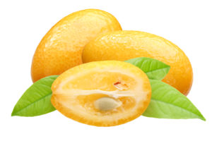 кумкват